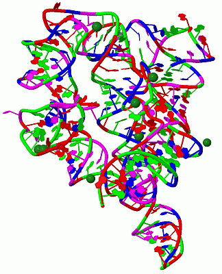 Image Biol.Unit 1 - manually