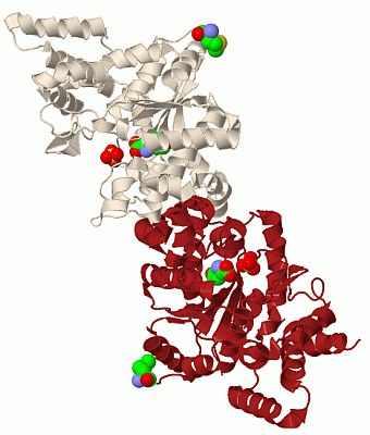 Image Biol.Unit 1 - manually