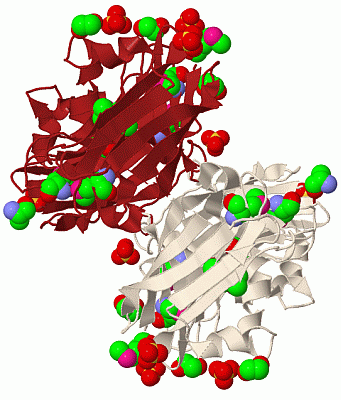 Image Biol.Unit 1 - manually