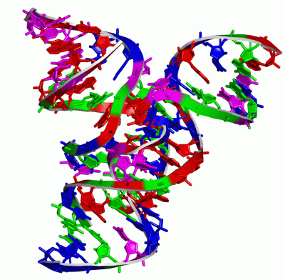 Image Asym./Biol. Unit - manually