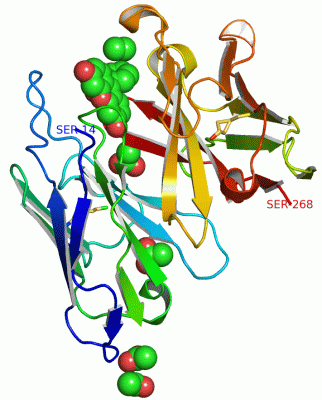 Image Asym./Biol. Unit - manually
