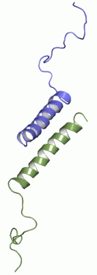 Image NMR Structure - manually