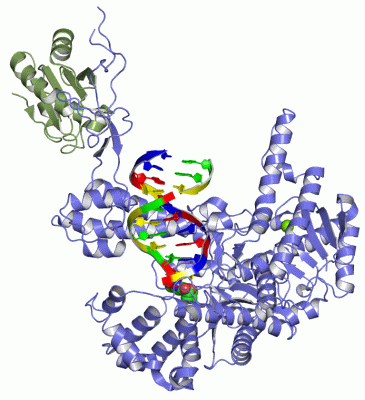 Image Asym./Biol. Unit - manually