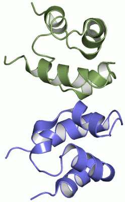 Image NMR Structure - manually