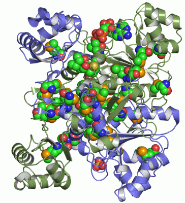 Image Asym./Biol. Unit - manually