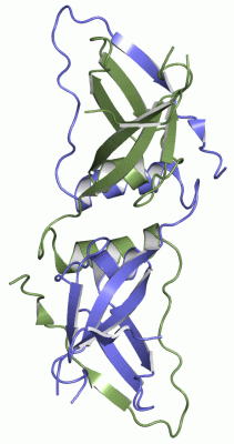 Image Asym./Biol. Unit - manually