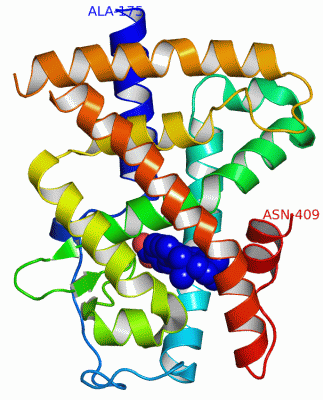 Image Asym./Biol. Unit - manually