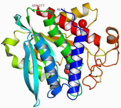 Image Asym./Biol. Unit - manually