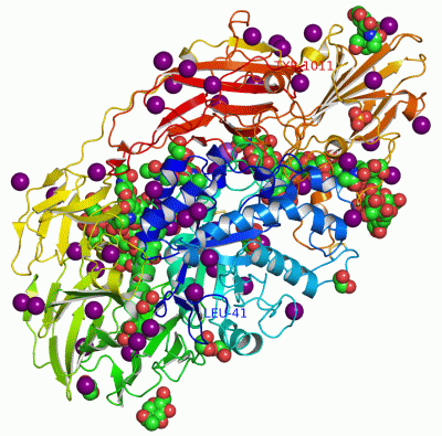 Image Asym./Biol. Unit - manually