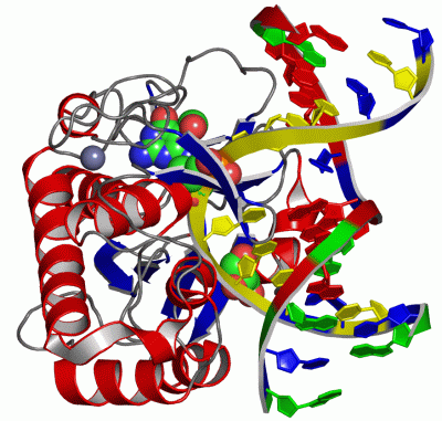 Image Asym./Biol. Unit - manually