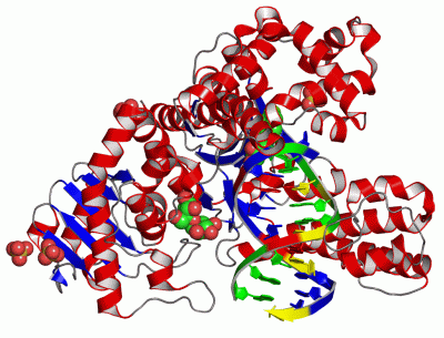 Image Asym./Biol. Unit - manually