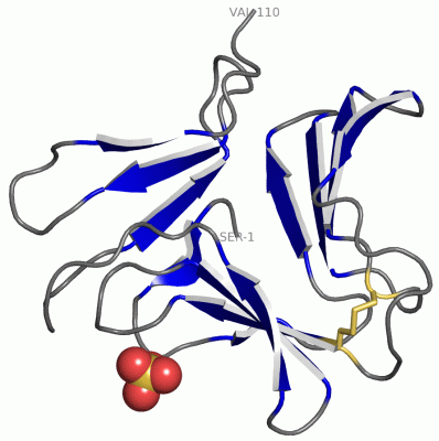 Image Asym./Biol. Unit - manually