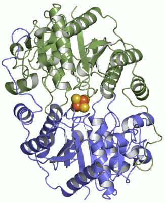 Image Asym./Biol. Unit - manually