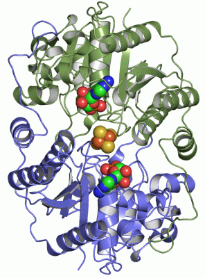 Image Asym./Biol. Unit - manually