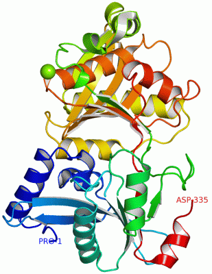 Image Asym./Biol. Unit - manually