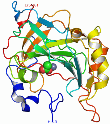 Image Asym./Biol. Unit - manually