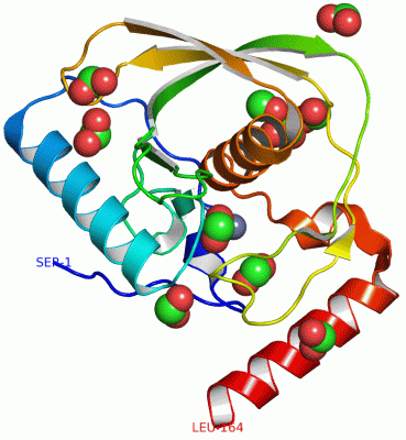 Image Asym./Biol. Unit - manually