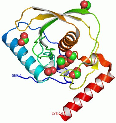 Image Asym./Biol. Unit - manually