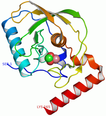 Image Asym./Biol. Unit - manually