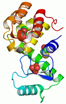 Image Asym./Biol. Unit - manually