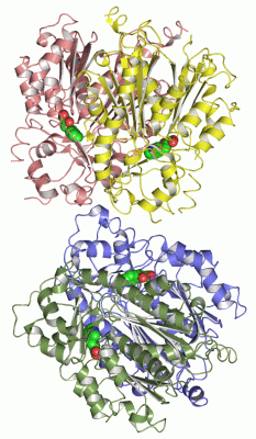 Image Asym.Unit - manually