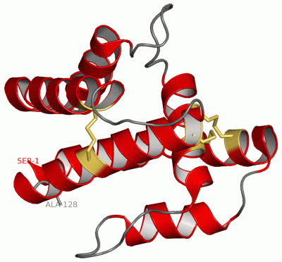 Image NMR Structure - manually