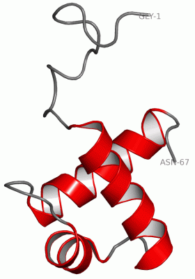 Image NMR Structure - manually