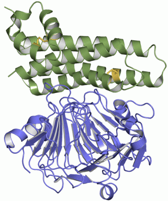 Image Asym./Biol. Unit - manually