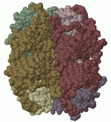 Image Biol.Unit 1 - manually