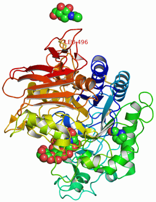 Image Asym./Biol. Unit - manually