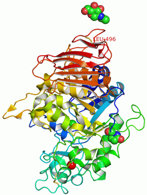 Image Asym./Biol. Unit - manually