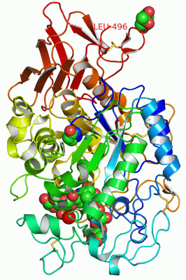 Image Asym./Biol. Unit - manually