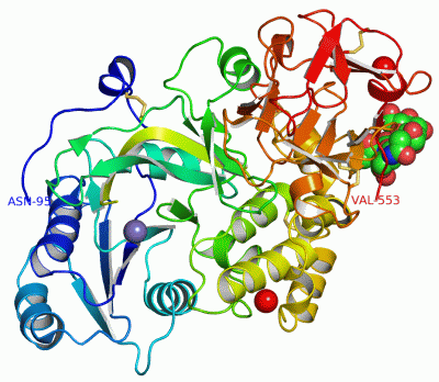 Image Asym./Biol. Unit - manually