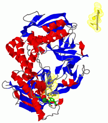 Image Biol.Unit 1 - manually