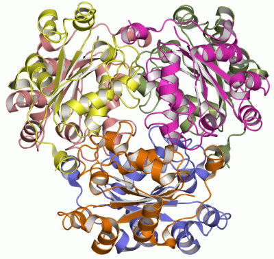 Image Asym./Biol. Unit - manually