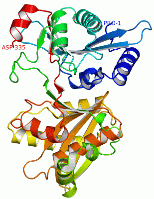 Image Asym./Biol. Unit - manually