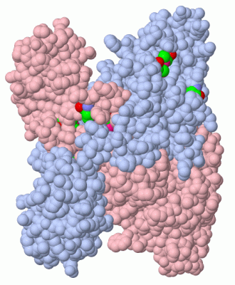 Image Biol.Unit 1 - manually