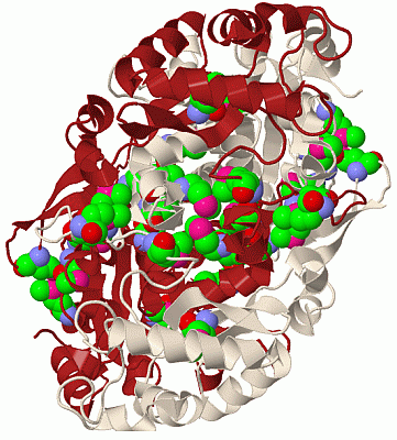 Image Biol.Unit 1 - manually