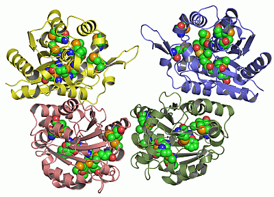 Image Asym./Biol. Unit - manually