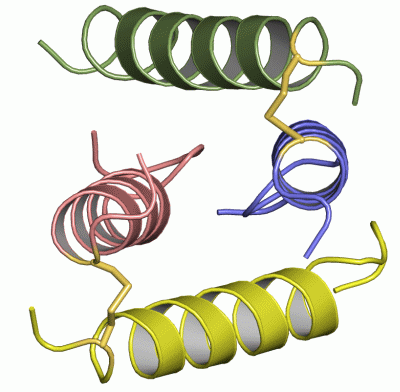 Image NMR Structure - manually