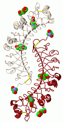 Image Biol.Unit 1 - manually