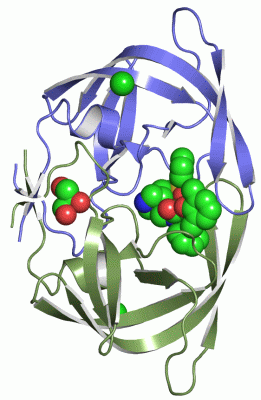 Image Asym./Biol. Unit - manually