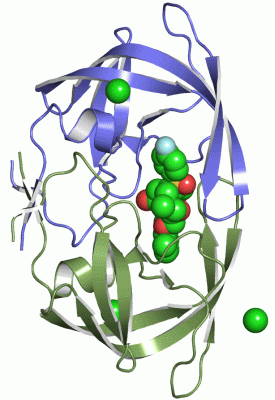 Image Asym./Biol. Unit - manually