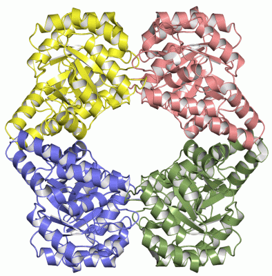 Image Asym./Biol. Unit - manually