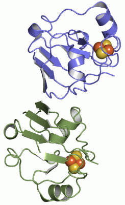 Image Asym.Unit - manually
