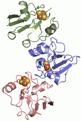 Image Asym.Unit - manually