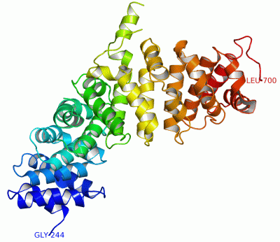 Image Asym./Biol. Unit - manually