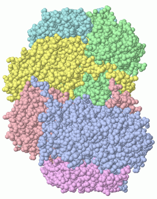 Image Asym./Biol. Unit - manually