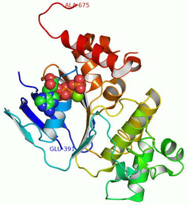 Image Asym./Biol. Unit - manually