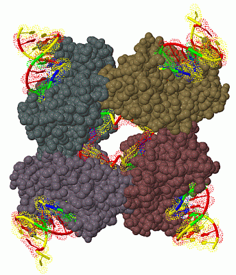 Image Biol.Unit 1 - manually